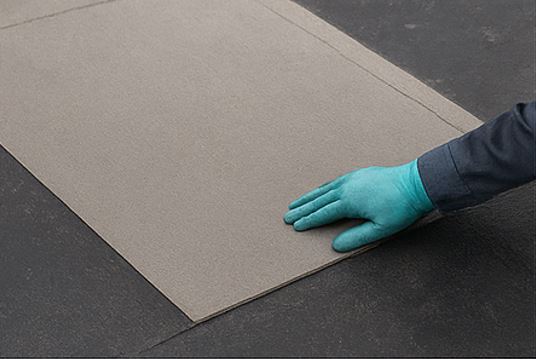 Torch On Membranes